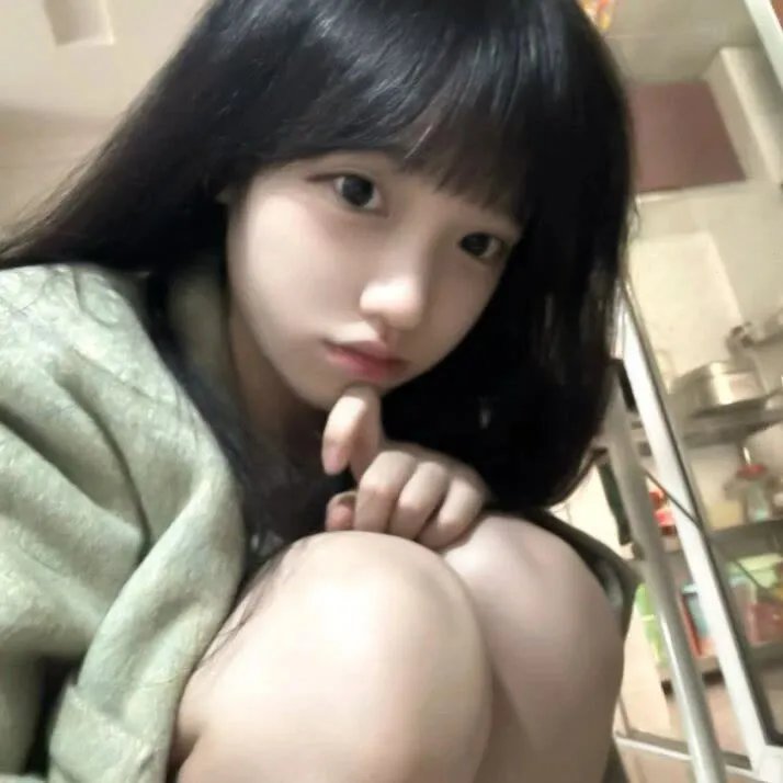 西夏死书