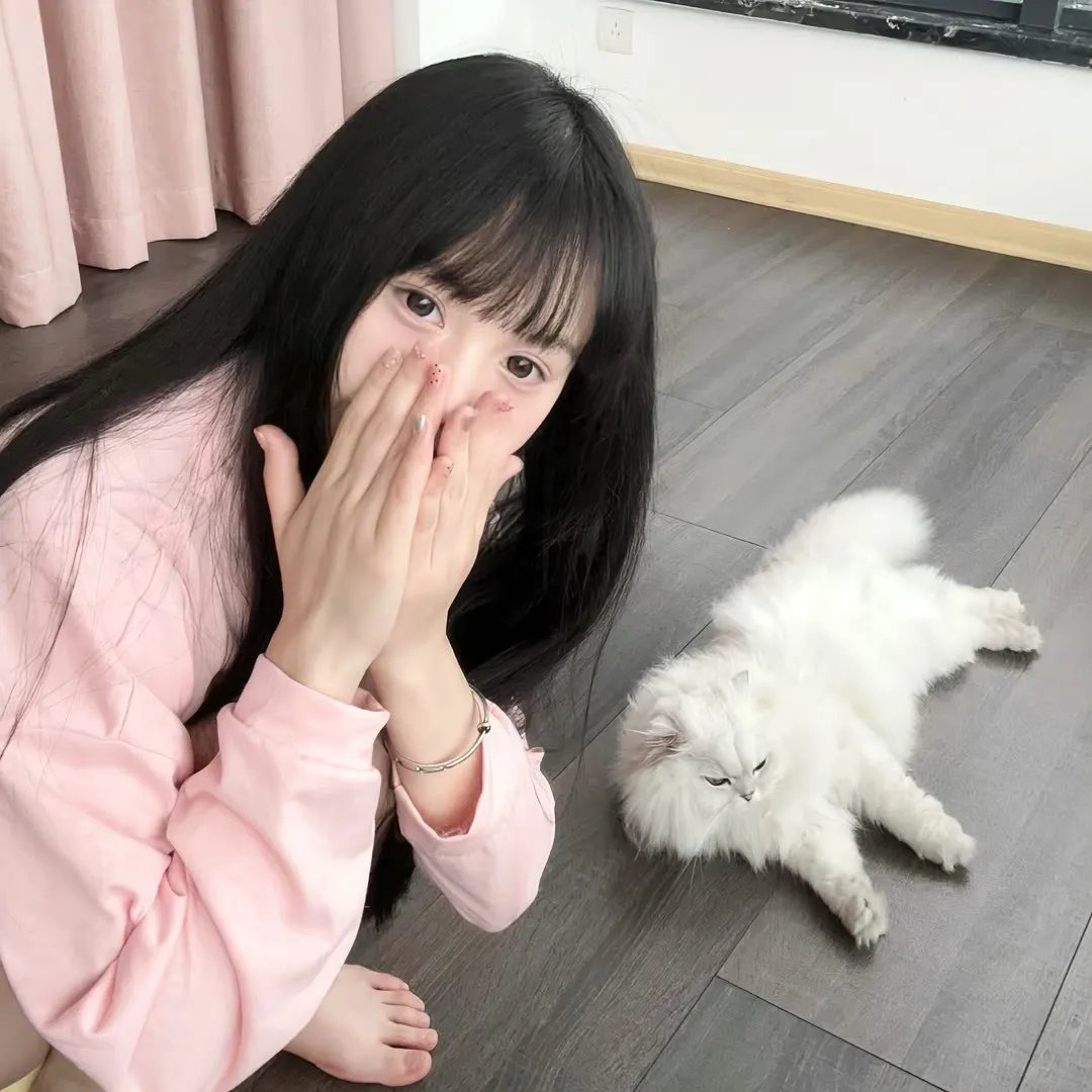 暗金烂狗6